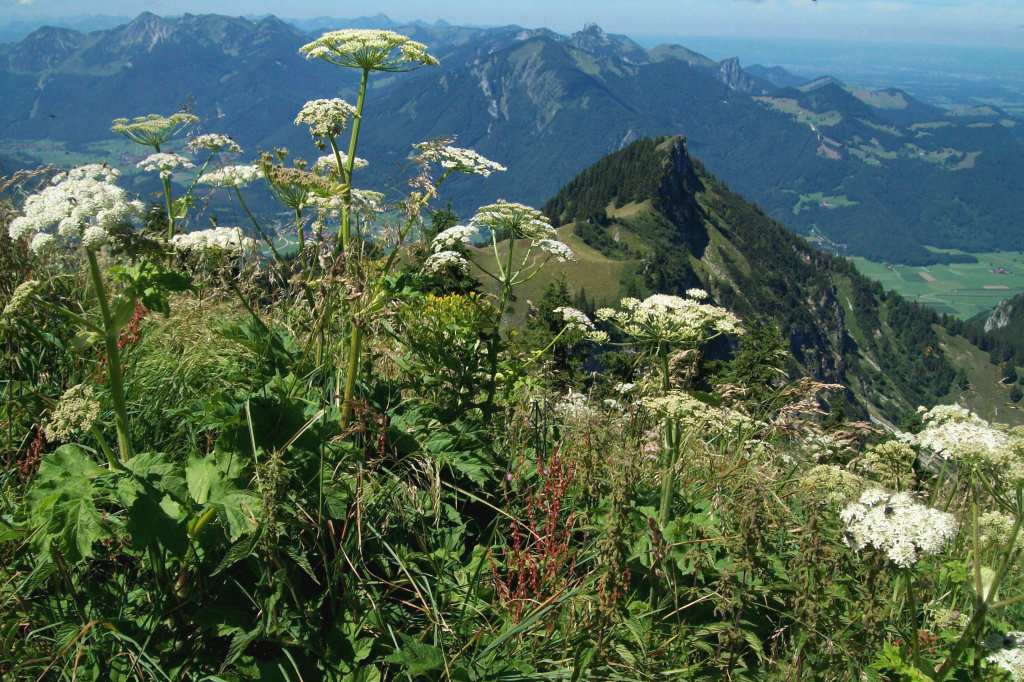 Hochgern - Bayern 022a