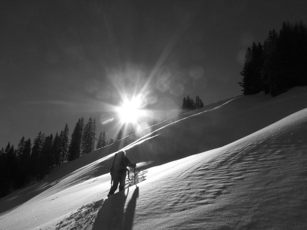 ???????????????????????????????