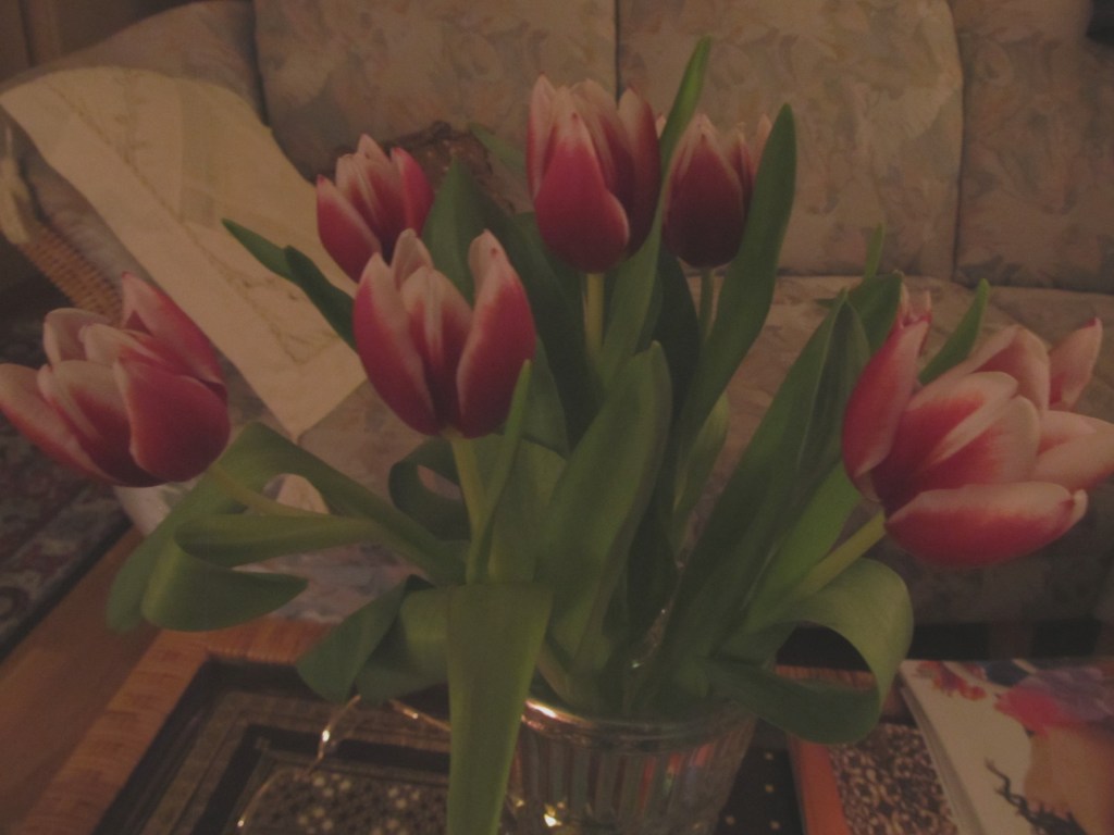 ???????????????????????????????