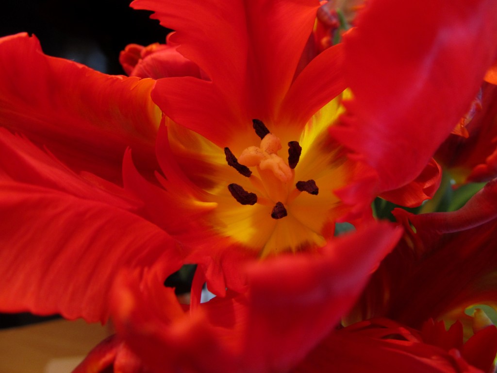 ???????????????????????????????