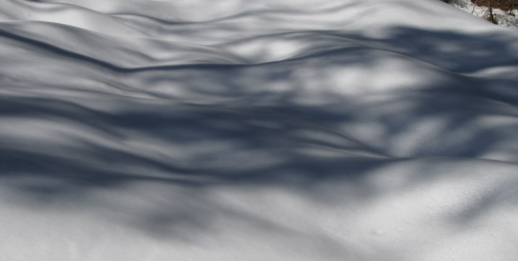 ???????????????????????????????