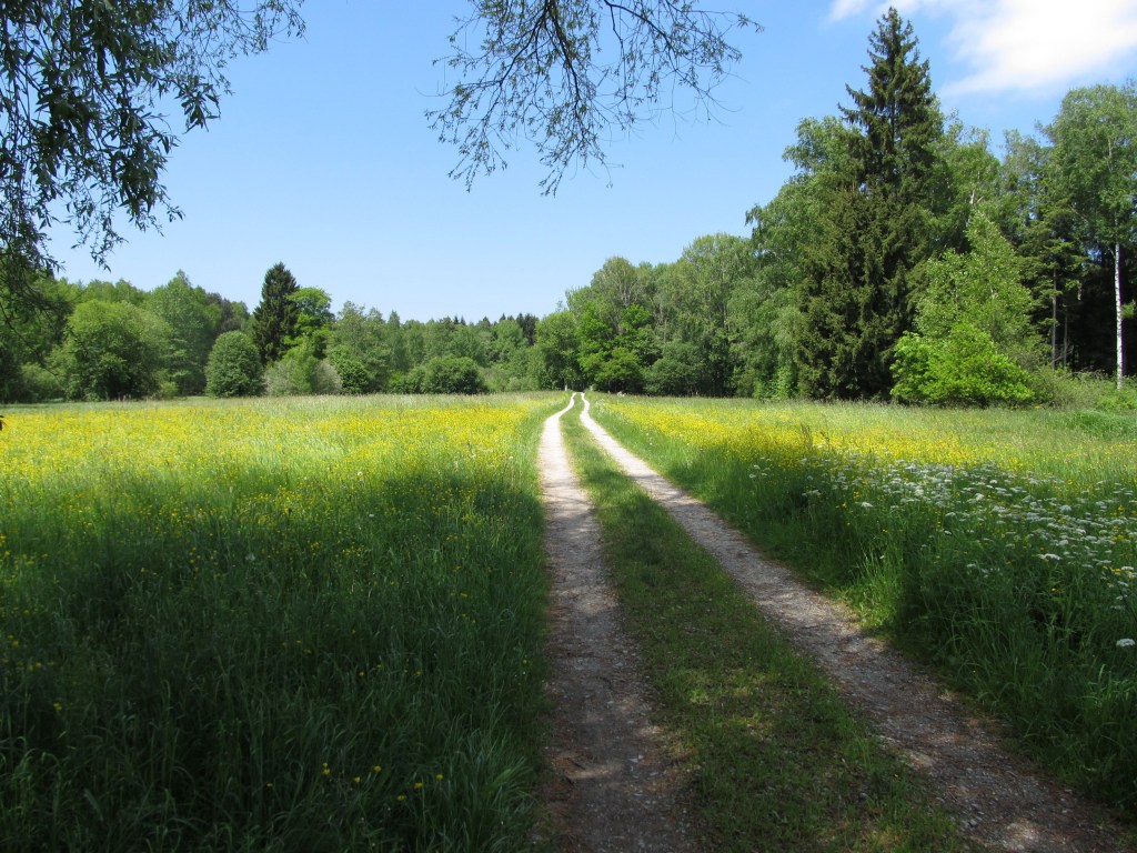 ???????????????????????????????