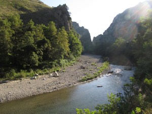 ???????????????????????????????