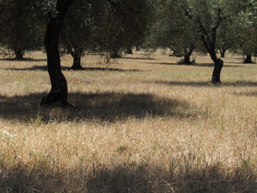 ???????????????????????????????