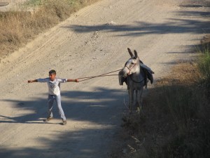 ???????????????????????????????