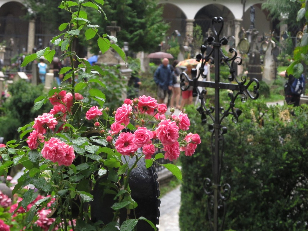 ???????????????????????????????