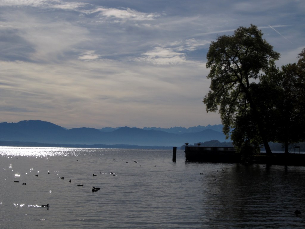 ???????????????????????????????