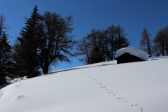 schnee 040
