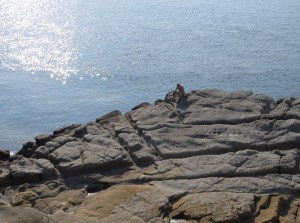 ???????????????????????????????