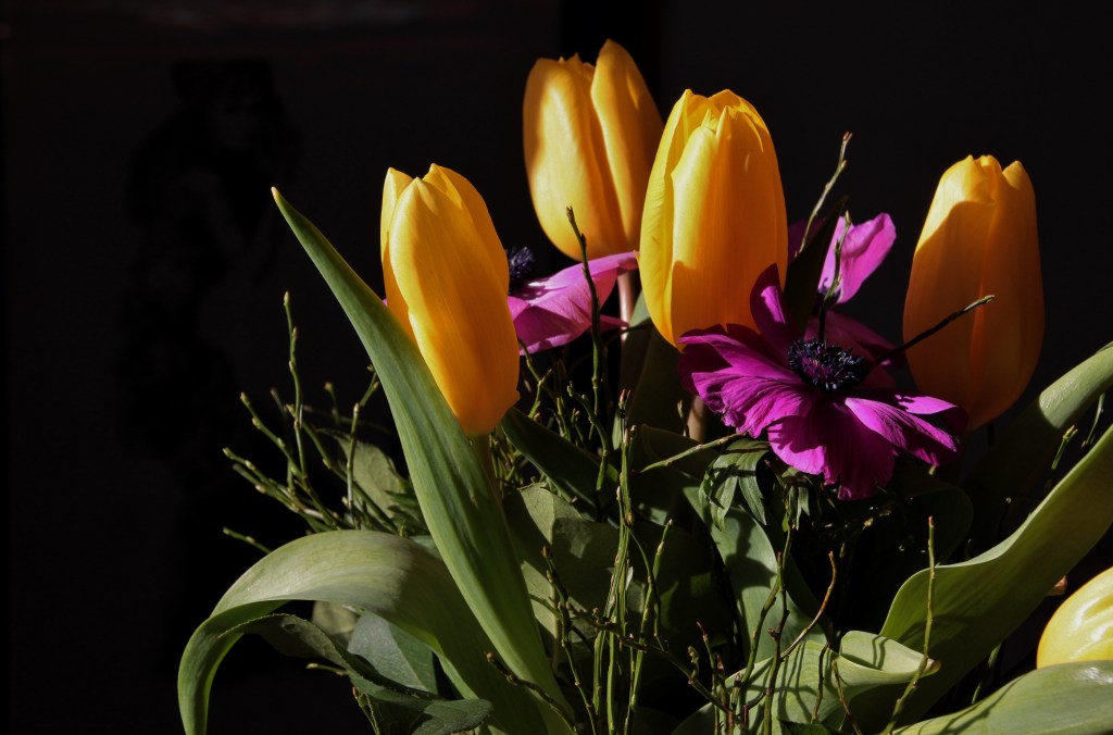 tulpen 025