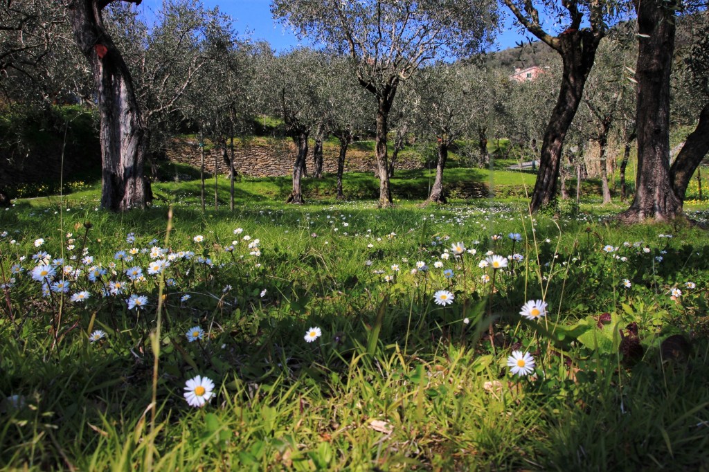 O,
Du mein Engel
Wir schweben nur noch
In holden Wolken.
Ich weiß nicht, ob ich lebe
Oder süß gestorben bin
In deinem Herzen.
Immer feiern wir Himmelfahrt
Und viel, viel Schimmer
Goldene Heiligenbilder
Sind deine Augen.
Sage – wie ich bin?
Überall wollen Blumen aus mir.
