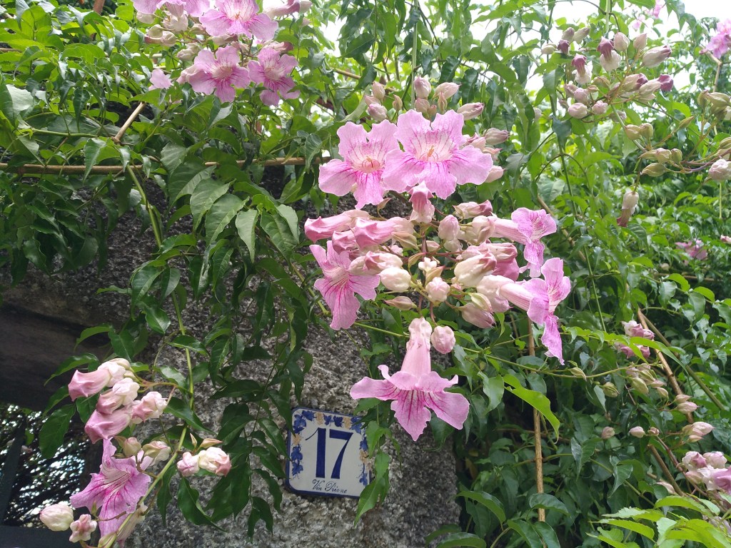 Via Prione –&nbsp;17