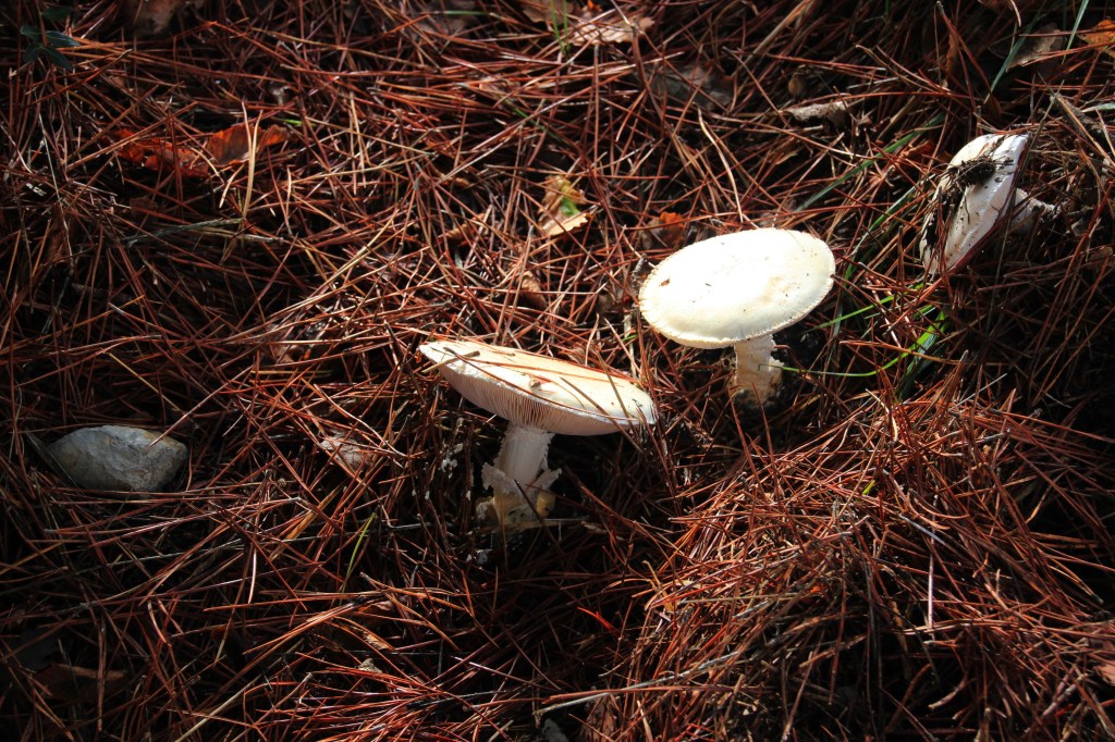 Zurück in das Sonnenlicht der Küste&nbsp;!