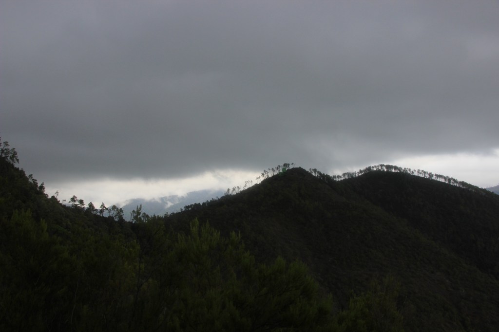 Dunkle Wanderung – escursione&nbsp;oscuro