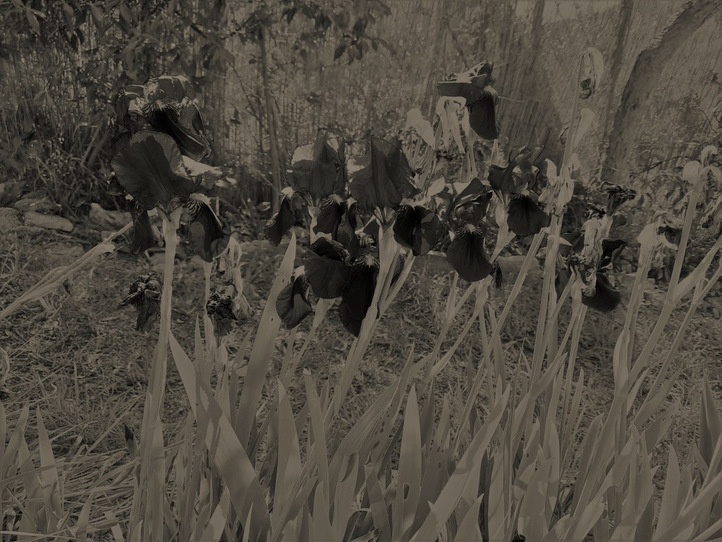 walk…in the rain…