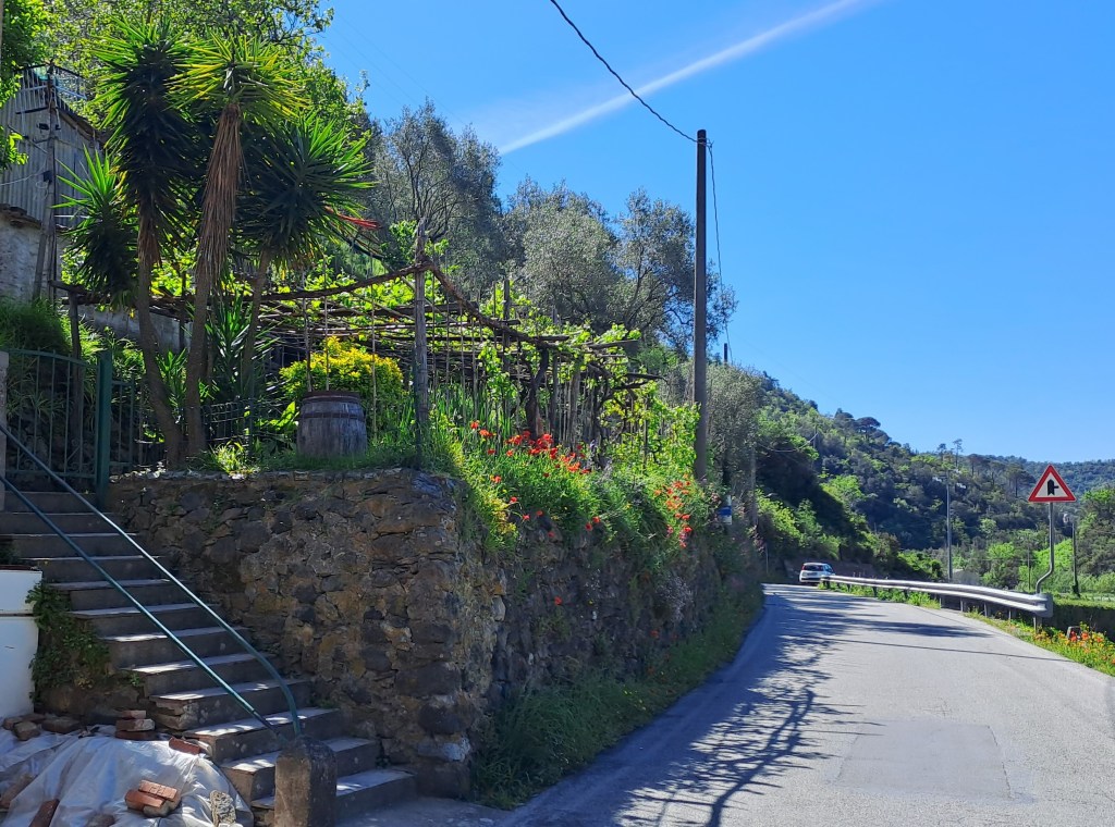 Fahrt in den&nbsp;Frühling