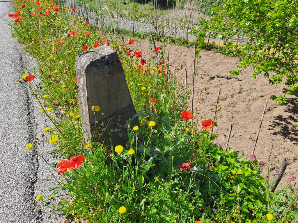 Das schönste stille Tal – Valle&nbsp;Gromolo
