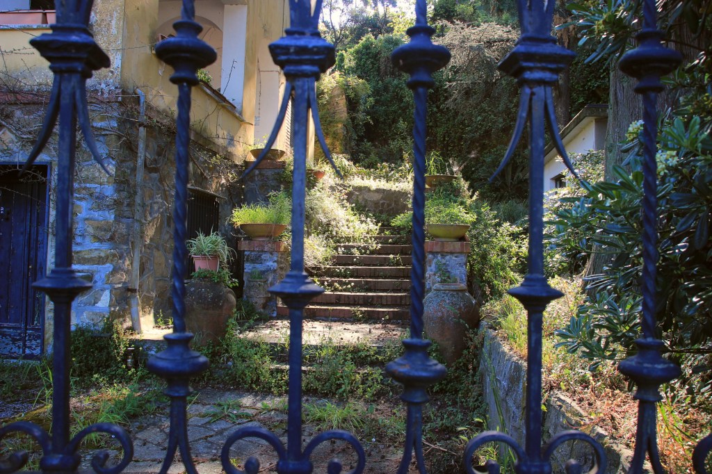 Verträumt, verschlafen, geliebt