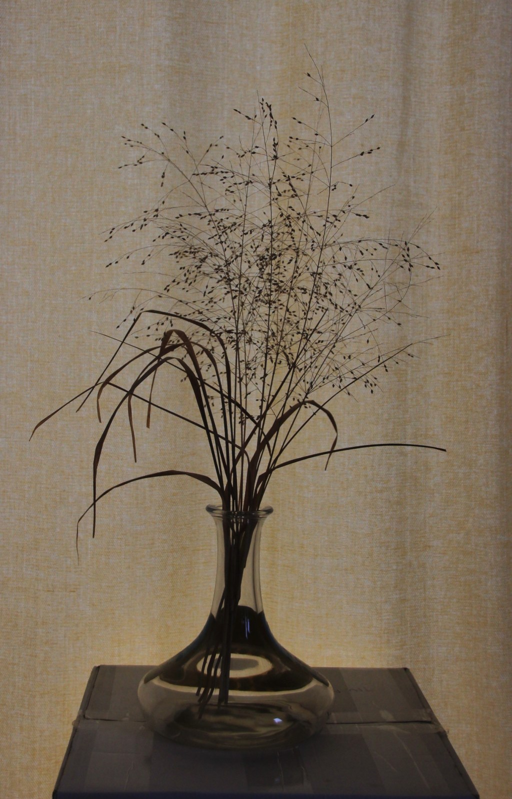 Zwei Tage vor dem großen Schneefall habe ich diese Gräser gerettet. Eine&nbsp;Wintergrafik.