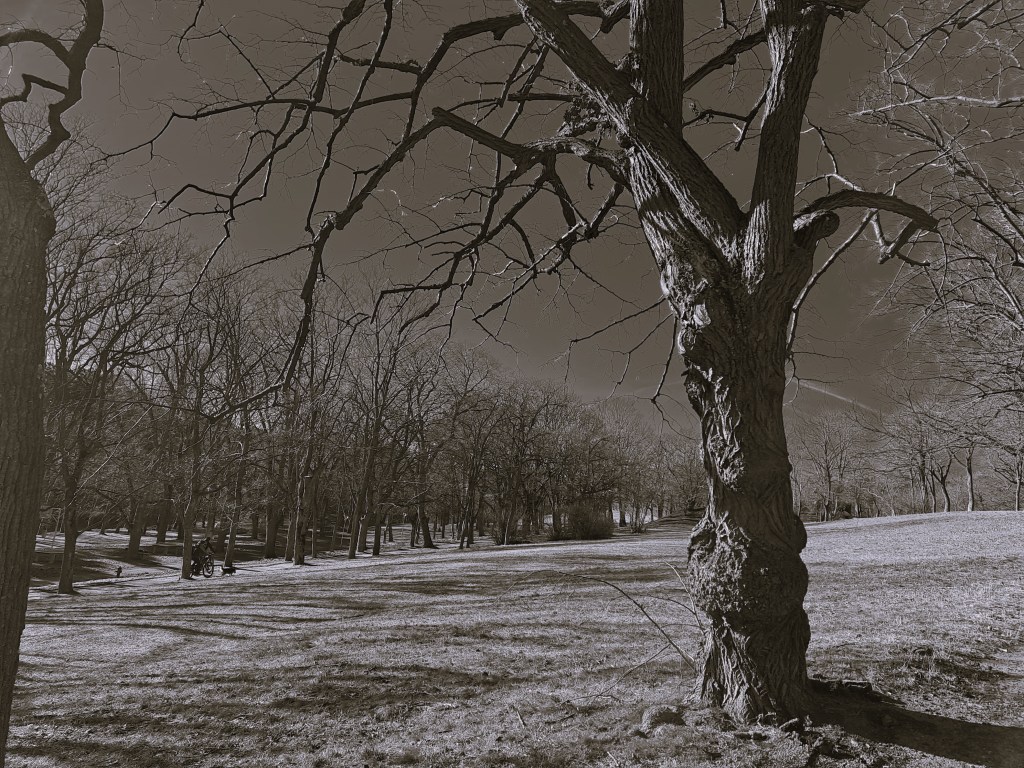Winter – der Blick über die&nbsp;Stadt