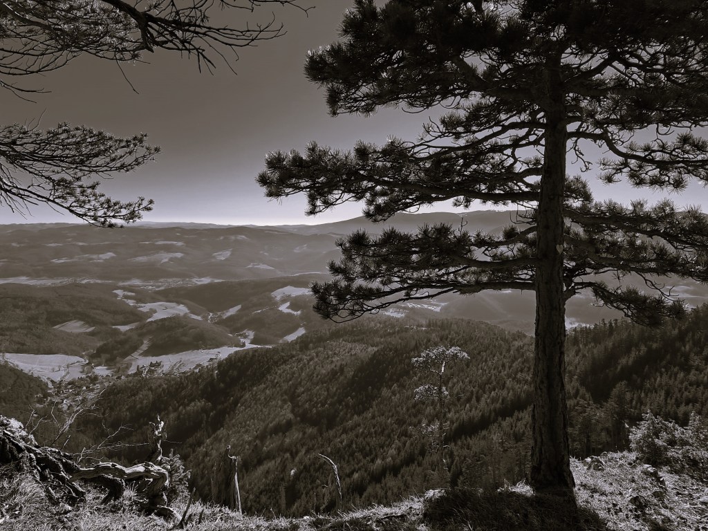 Zur „Roten Wand“