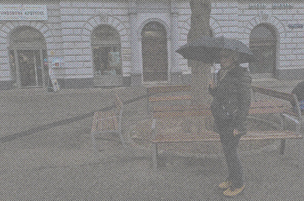 Ich bin ein Tiger im&nbsp;Regen