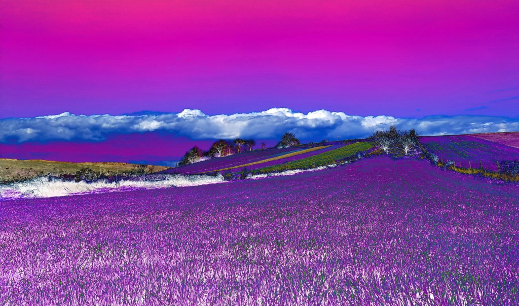 Meine erste Fahrt in kurzer Hose. Sehr schön bis zur Burg Forchtenstein. Nur bei der Rückfahrt gab es Sturm mit Temperatursturz…brrrrrr