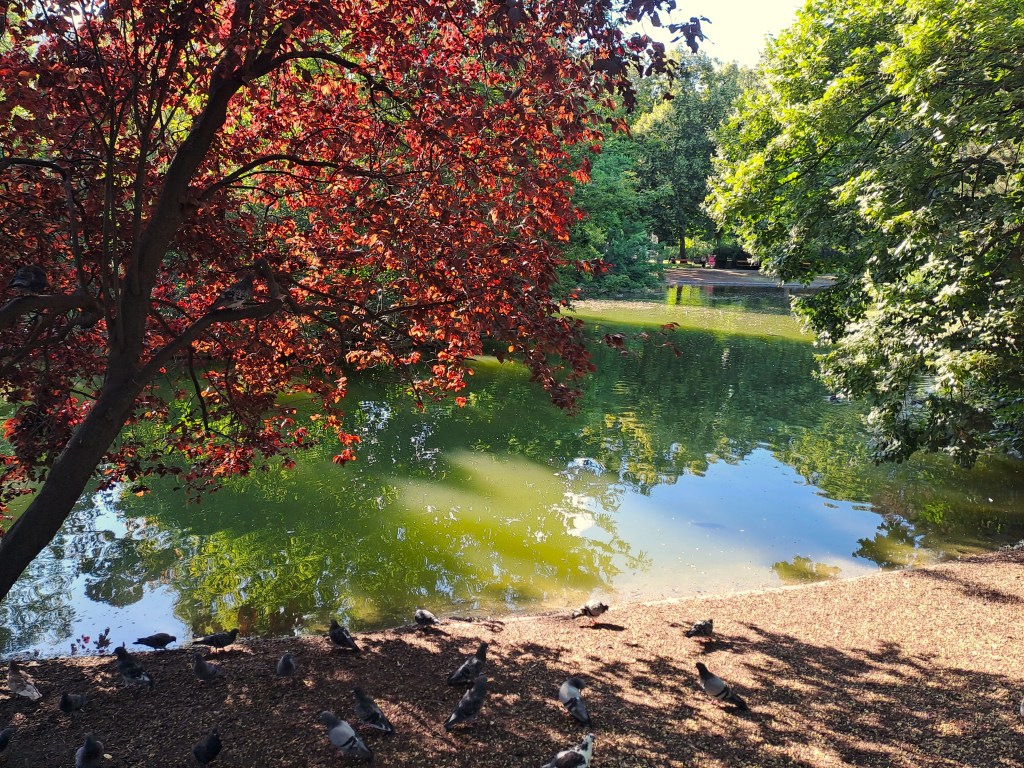 MUMOK – ein Kulturtag in&nbsp;Wien